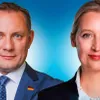 Social-democrații din Germania cer interzicerea AfD (sursa: Facebook/AfD)